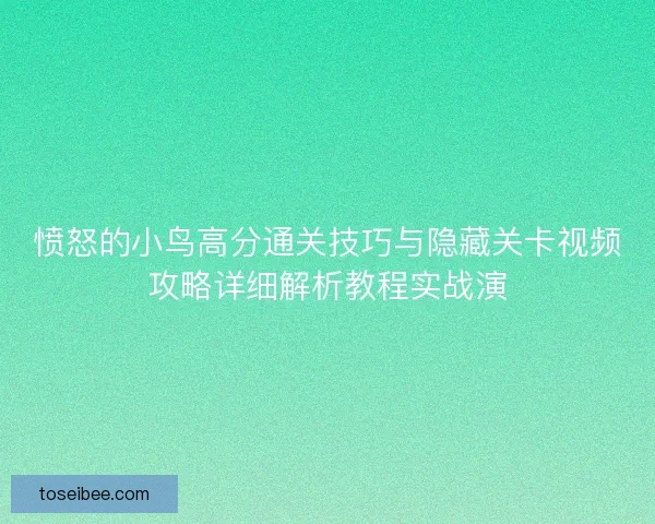 愤怒的小鸟高分通关技巧与隐藏关卡视频攻略详细解析教程实战演
